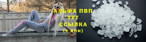 стаф Алексин