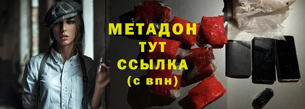стаф Алексин