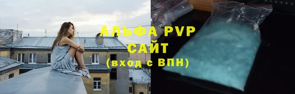 стаф Алексин