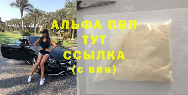 стаф Алексин