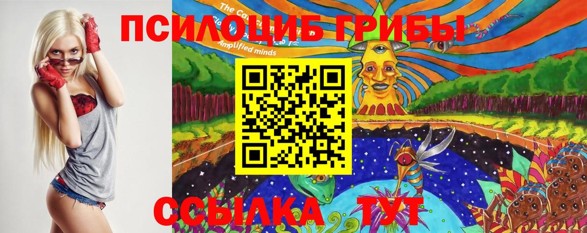 Аша  Галлюциногенные грибы Magic Shrooms  Вход с VPN 