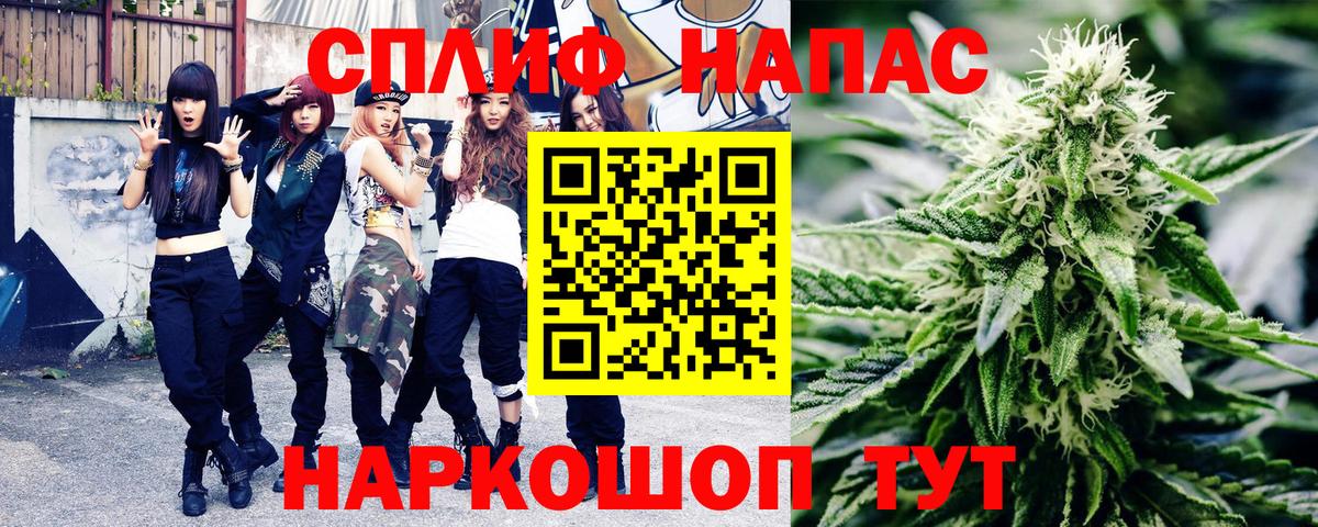 Шишки марихуана сатива Аша
